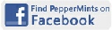 Englisch lernen mit PepperMints auf Facebook